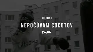 FLEXKING - NEPOČÚVAM COCOTOV |Official Audio|