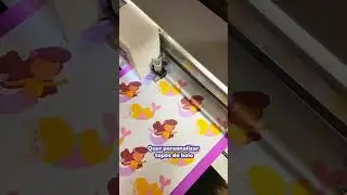 Conhe&ccedil;a sua nova plotter de recorte profissional