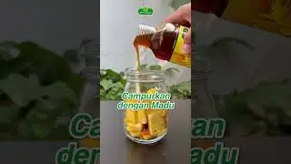 Super Duper Probiotik yang mudah dibuat di rumah