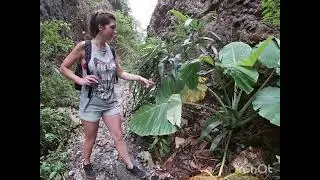 Parque Natural de Cat Ba y Bah&iacute;a de Lan Ha (Vietnam)