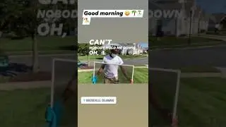 Window Screen cleaning