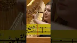 #harp  x 2 = double the fun! #classicalmusic #sheetmusic