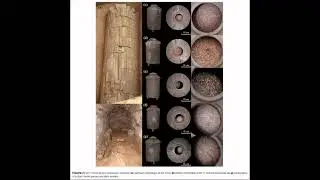 Momento Malum Today Episode 196 Han Empire Archaeobotany