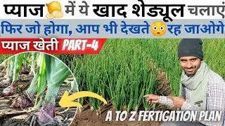 pyaj🧅 ki kheti ke liye powerful💪 fertigation schedule/khad schedule | प्याज का खाद शेड्यूल | #onion