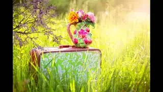 Free briefcase Flower Motion Videos