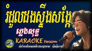 រំដួលដងស្ទឹងសងែ្ក | ខារ៉ាអូខេខ្មែរចាស់ | sin sisamuth song