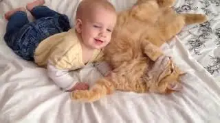 Самый Жирный Кот, КАК КОШКИ РЕАГИРУЮТ НА МЛАДЕНЦЕВ
