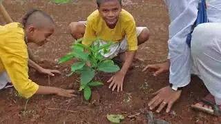 Chida dahi Mahotsav, Bhaktivedanta Gurukul vikramghar || Maharashtra