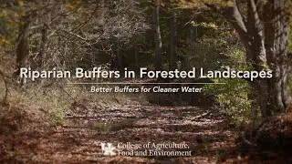 Riparian Buffers in Forested Landscapes - Better Buffers for Cleaner Water
