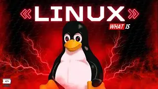 Linux là gì? Các khái niệm phải biết | FreeCodeWeb