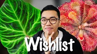 Revealing the 25 Plants I Want this 2023