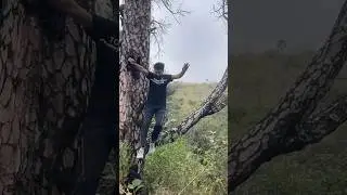 A gentle Jump #kamalkavlog #viral #trending #shorts #jump #trending