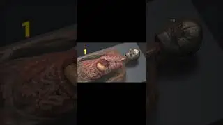 Interesting Aspects Of Ancient Egypt In Urdu