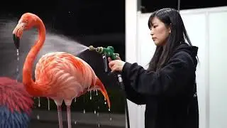 ASMR AI Cleaning Videos | Ultra Satisfying Digital Clean