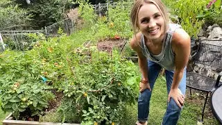 August GARDEN TOUR Zone 6 // Greenstalk