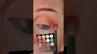 Close up of ZEESEA Cosmetics Maya palette 🎨  #overseasmakeup #eyeshadowtutorial