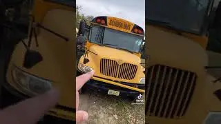 THESE SCHOOL BUSES ARE ABANDONED! (Temporarily)