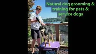 Natural dog grooming & training for pets & service dogs summer series