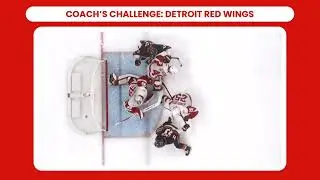 Red Wings предъявляет иск за вмешательство вратаря &mdash; Tough Call Review
