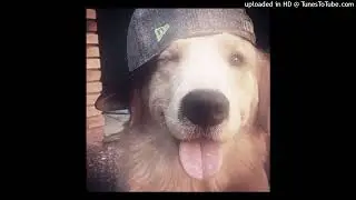 cute pradabagshawty pluggnb type beat pt 2