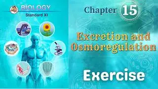 Excretion and Osmoregulation class 11 biology chapter 15 exercise solutions