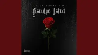 Disculpe Usted
