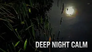 8 hours of Soothing Lake Whispers with music at 432Hz
