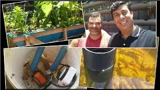 Criação de peixes com bombas de máquina de lavar louça, roupa e Aquaponia do Gomes - 09/01/2017