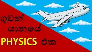 How do Airplanes fly? | Sinhala | Physics behind the Airplane