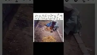 not homeless just helpless#islamicvideo#love#shortvideo#islam#beautiful#food#viralvideos