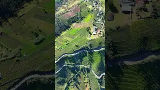 Ooty in December