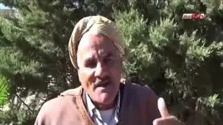 تيارت | بلدية الرحوية تقضي على اشجار معمرة