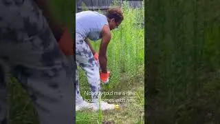 Nobody told me a new house comes with new weeds😅 #lawn #weeds #newhouse #learnerslearning