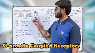 G-protein Coupled Receptors | How cAMP acts as 2nd messenger system | Cell Signaling | Biochemistry