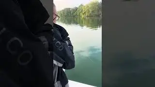 Smith Mountain Lake stripers on  Garmin Livescope #Smith Mountain Lake #Garmin#Charter Service