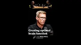 Creating Optimal Brain Function | Dr. David Spindler X Rich Roll