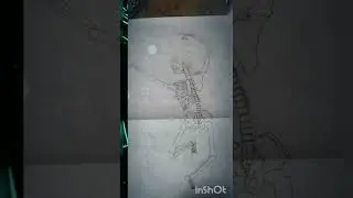 Human skeletal system drawing|Detailed and interesting drawing|Dancing skeletal system|How to draw..