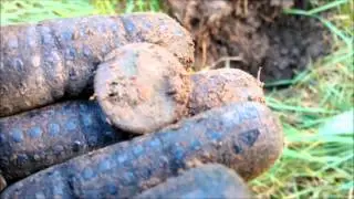 Huge Buckle, Bag Seals, Musket Balls + another Kreuzer (hunt7)