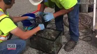 Fatberg Removed From Michigan Sewer After Improper Grease Trap Cleaning