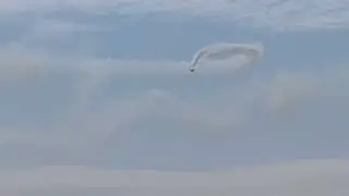 Muscle Pitts performance at Blackpool Airshow. 10/8/25.