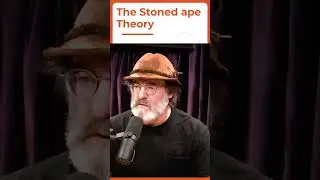 Unveiling the Mysteries of Human Evolution: The Stoned Ape Theory Explained