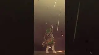 Cucco vs Calamity Ganon- Breath of the Wild