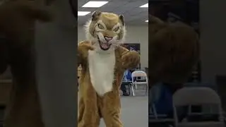 Cltcc bobcat 3