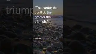 Motivational quotes by Theodore Roosevelt