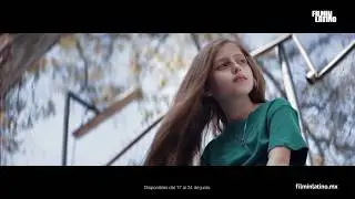 Rumbo al Ariel 61 en FilminLatino