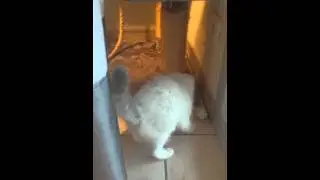 La boulette de papier d'Alu !