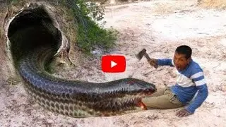 Amazing Build Deep Hole Underground Python Trap Using Electric Fan Guard & Duck That Work 100