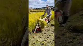 India&rsquo;s Smart Farming Revolution Begins with This Machine #shorts