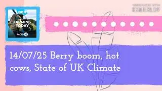 14/07/25 Berry boom, hot cows, State of UK Climate | Farming Today
