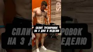 🔥ЛУЧШИЙ СПЛИТ ТРЕНИРОВОК НА 3 ДНЯ В НЕДЕЛЮ?!